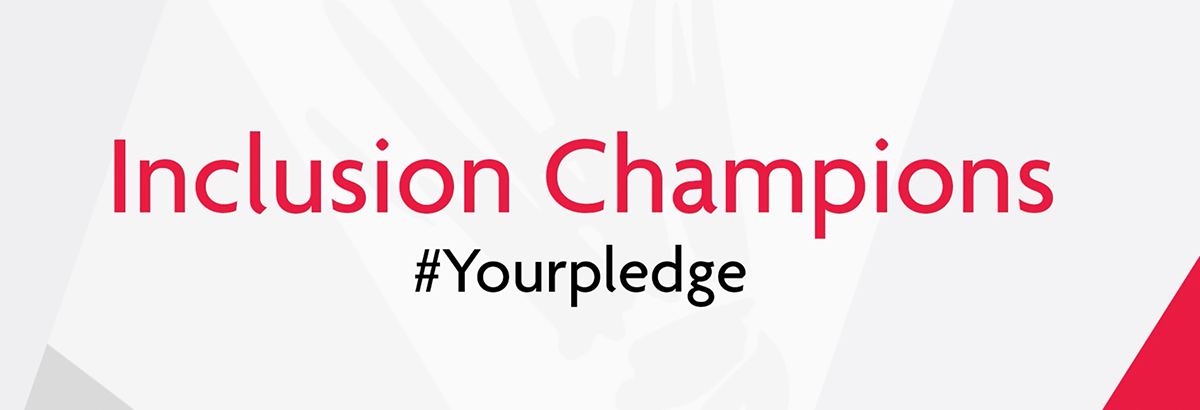 inclusionchamps header inclusionchamps header