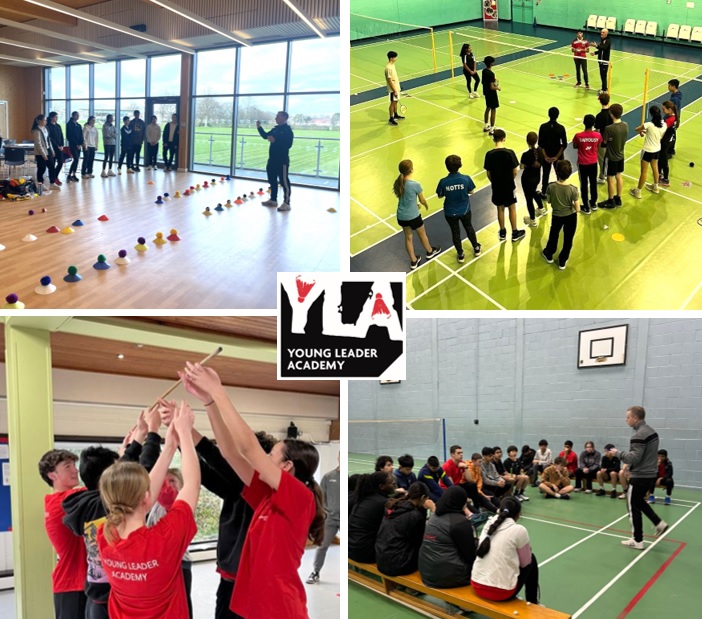 YLA Graphic
