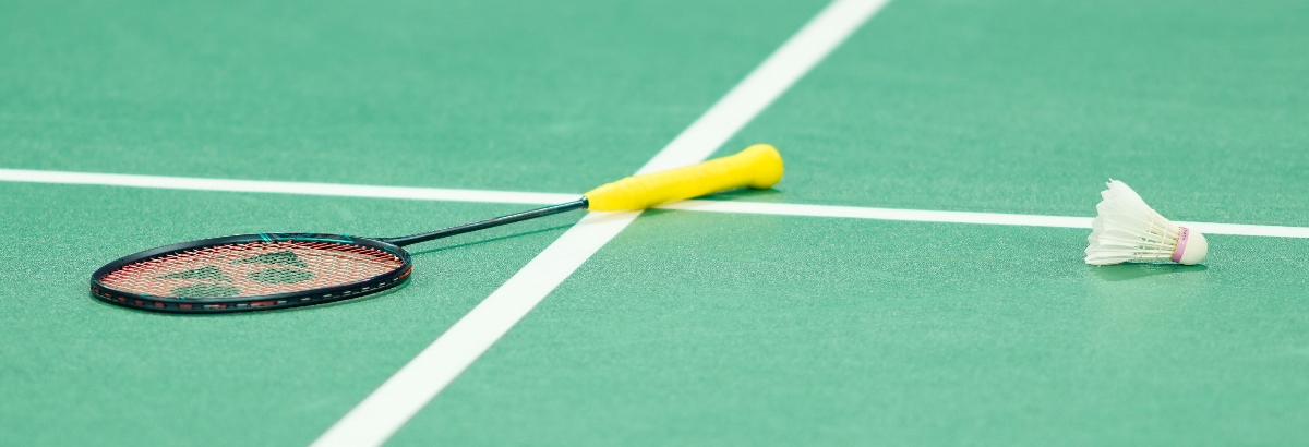 Badminton Racket 1200 Badminton Racket 1200